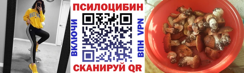 Псилоцибиновые грибы прущие грибы  Талица 